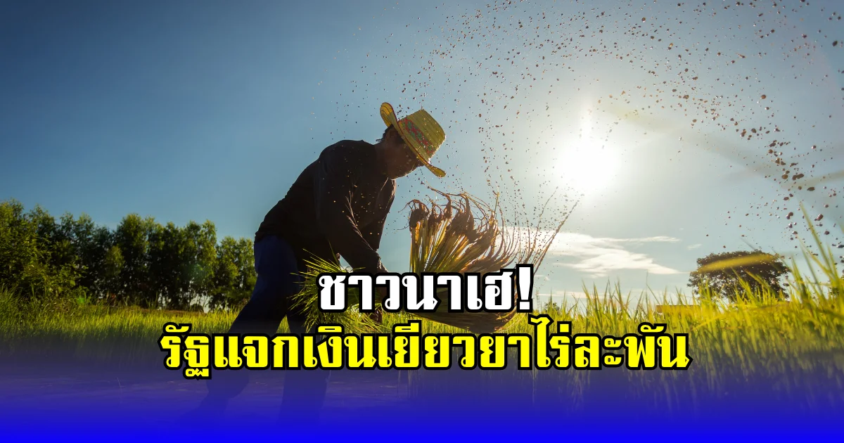 ชาวนาเฮ! รัฐแจกเงินเยียวยาไร่ละพัน