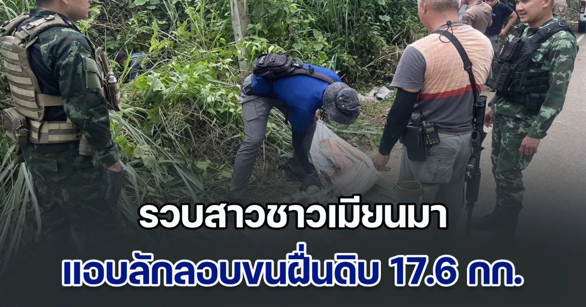 รวบสาวชาวเมียนมา แอบลักลอบขนฝื่นดิบ 17.6 กก.