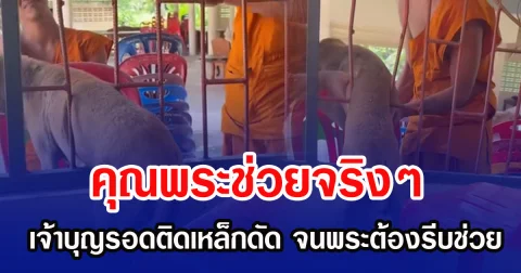 คุณพระช่วยจริง ๆ! เจ้าบุญรอดติดเหล็กดัด  จนพระต้องรีบช่วย