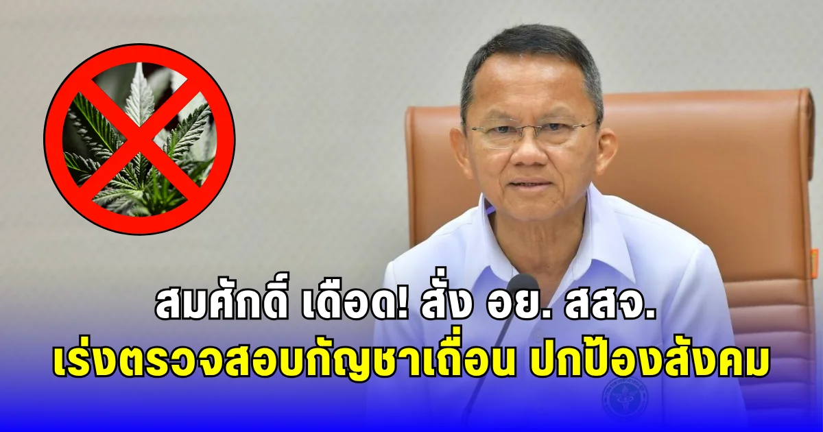 สมศักดิ์ เดือด สั่ง อย. สสจ. เร่งตรวจสอบสินค้ากัญชาเสี่ยง ปกป้องสังคม