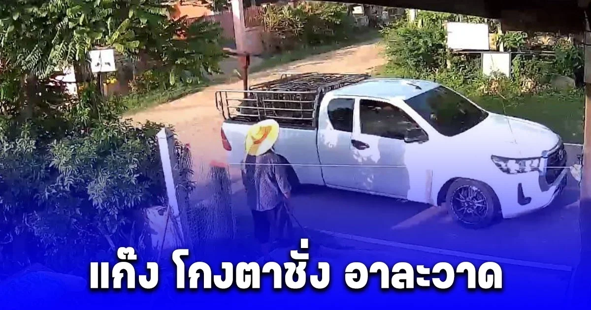 แก๊ง โกงตาชั่ง อาละวาด ป้าเลี้ยงหมูโดน 9 ตัว วิ่งตามลิ้นห้อยวอนล่าตัว ล่าสุดรู้ตัวแก๊งนี้แล้ว