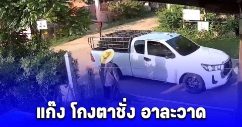 แก๊ง โกงตาชั่ง อาละวาด ป้าเลี้ยงหมูโดน 9 ตัว วิ่งตามลิ้นห้อยวอนล่าตัว ล่าสุดรู้ตัวแก๊งนี้แล้ว