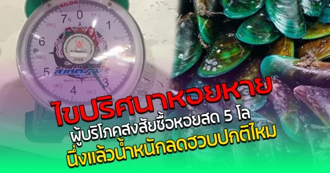 ไขปริศนาหอยหาย ผู้บริโภคสงสัย ซื้อหอยสด 5 โล นึ่งแล้วน้ำหนักลดฮวบ