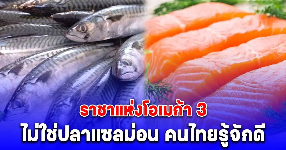 เข้าใจผิดมาตลอด! ราชาแห่งโอเมก้า 3 ไม่ใช่ปลาแซลม่อน คนไทยรู้จักดี
