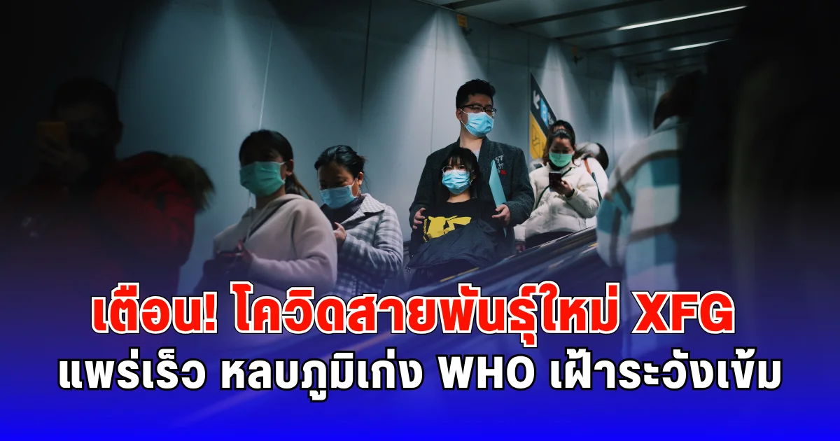 เตือน! โควิดสายพันธุ์ใหม่ XFG แพร่เร็ว หลบภูมิเก่ง WHO เฝ้าระวังเข้ม