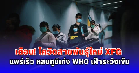 เตือน! โควิดสายพันธุ์ใหม่ XFG แพร่เร็ว หลบภูมิเก่ง WHO เฝ้าระวังเข้ม