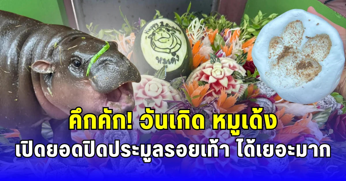 คึกคัก วันเกิด หมูเด้ง เปิดยอดปิดประมูลรอยเท้า ได้เยอะมาก