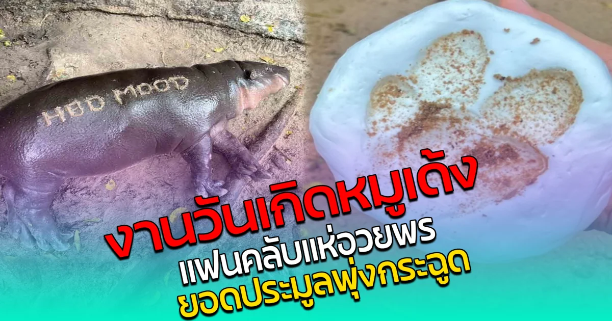 งานวันเกิด หมูเด้ง คึกคักสุดๆ แฟนคลับแห่อวยพร ยอดประมูลพุ่งกระฉูด