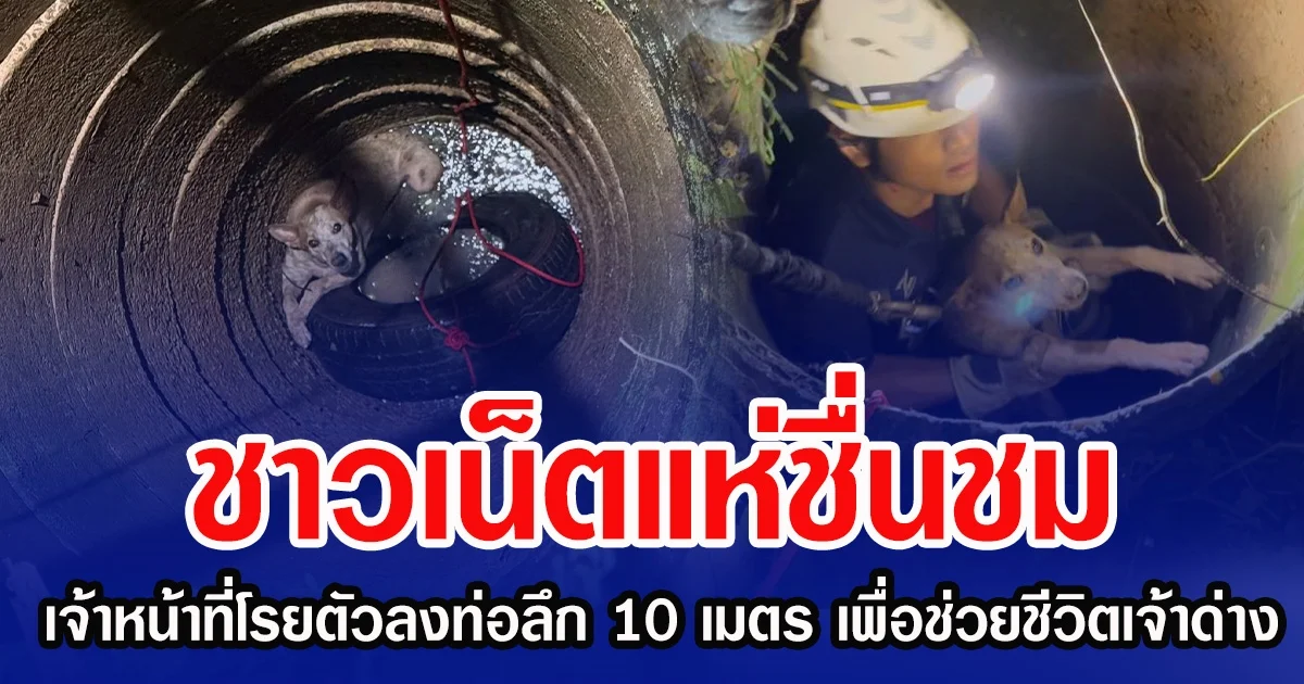 ชาวเน็ตแห่ชื่นชม เจ้าหน้าที่โรยตัวลงท่อลึก 10 เมตร เพื่อช่วยชีวิต เจ้าด่าง