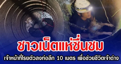 ชาวเน็ตแห่ชื่นชม เจ้าหน้าที่โรยตัวลงท่อลึก 10 เมตร เพื่อช่วยชีวิต เจ้าด่าง