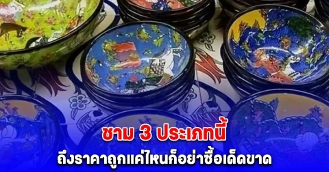 เตือนแล้วนะ ชาม 3 ประเภทนี้ ถึงราคาถูกแค่ไหนก็อย่าซื้อเด็ดขาด