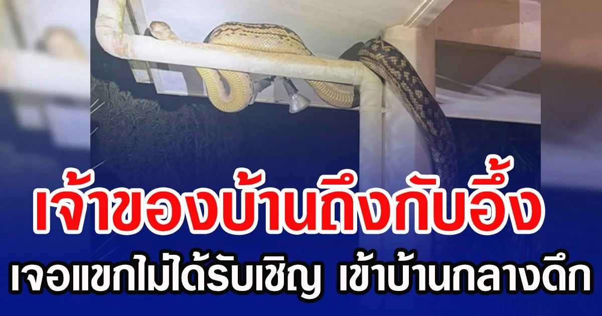 เจ้าของบ้านถึงกับอึ้ง เจอแขกไม่ได้รับเชิญ เข้าบ้านกลางดึก