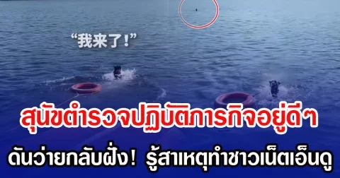 สุนัขตำรวจปฏิบัติภารกิจอยู่ดี ๆ ดันว่ายกลับฝั่ง! รู้สาเหตุทำชาวเน็ตเอ็นดู (ข่าวต่างประเทศ)