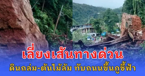เลี่ยงเส้นทางด่วน ฝนตกหนักต่อเนื่อง ดินถล่ม-ต้นไม้ล้ม ทับถนนขึ้นภูชี้ฟ้า