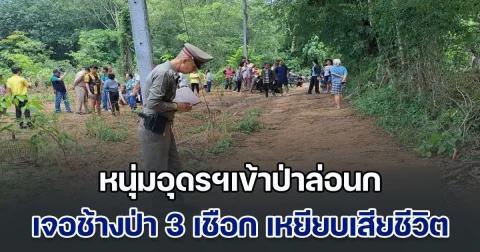 หนุ่มอุดรฯเข้าป่าล่อนก เจอช้างป่าภูหลวง 3 เชือก เหยียบจนเสียชีวิต