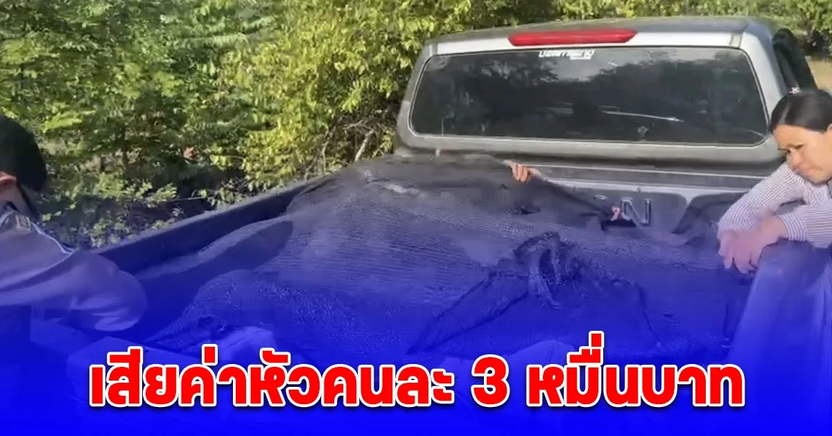 ซิ่งหนีไม่รอด ตำรวจทางหลวงรวบแรงงานเมียนมา 12 ราย ลอบเข้าเมืองเตรียมมุ่งหน้าสู่พื้นที่ชั้นใน เสียค่าหัวคนละ 3 หมื่นบาท