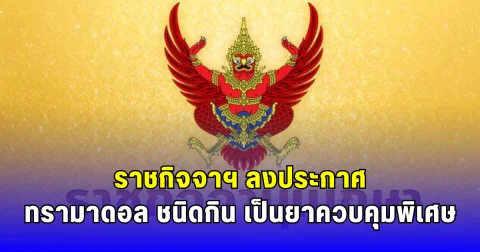 ราชกิจจาฯ ลงประกาศ ทรามาดอลชนิดกิน เป็นยาควบคุมพิเศษ มีผลในอีก 180 วัน