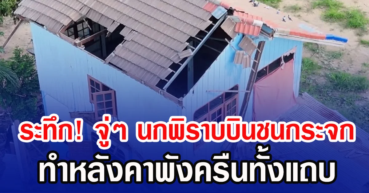 ระทึก! จู่ ๆนกพิราบบินชนกระจก ทำหลังคาพังครืนทั้งแถบ