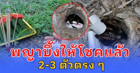 ชาวบ้าน ฮือฮา พญาบึ้งให้โชคแล้ว 2-3 ตัวตรง ๆ