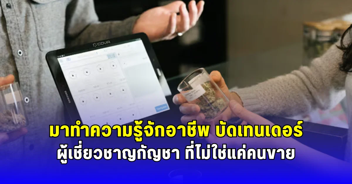 มาทำความรู้จักอาชีพ บัดเทนเดอร์ ผู้เชี่ยวชาญกัญชา ที่ไม่ใช่แค่คนขาย