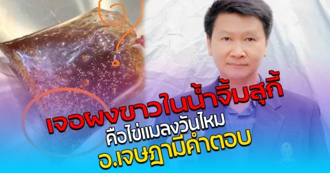 เจอผงขาวในน้ำจิ้มสุกี้ คือไข่แมลงวันไหม อ.เจษฎา มีคำตอบ