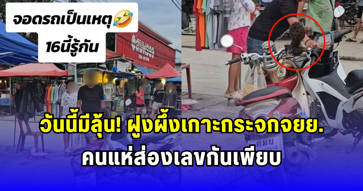 วันนี้มีลุ้น ฝูงผึ้งเกาะกระจกจยย.คนแห่ส่องเลขกันเพียบ