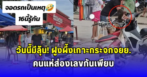 วันนี้มีลุ้น ฝูงผึ้งเกาะกระจกจยย.คนแห่ส่องเลขกันเพียบ