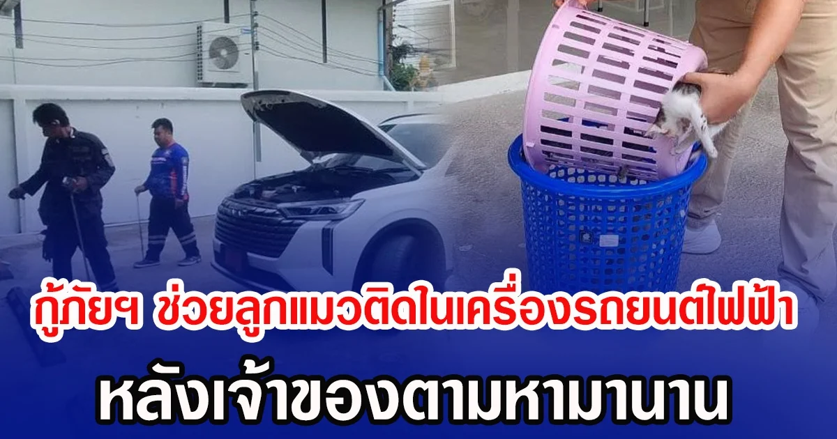 กู้ภัยพิษณุโลกช่วยลูกแมวติดในห้องเครื่องรถยนต์ไฟฟ้า หลังเจ้าของตามหามานาน