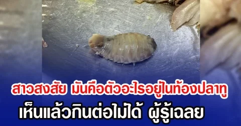 สาวสงสัย มันคือตัวอะไรอยู่ในท้องปลาทู เห็นแล้วกินต่อไม่ได้ ผู้รู้เฉลย