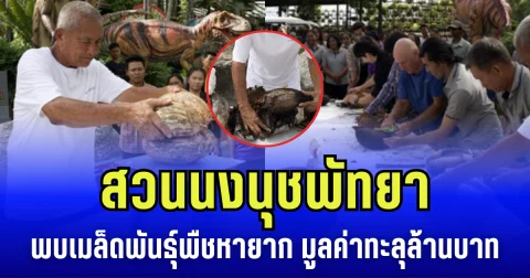 สวนนงนุชพัทยา ได้ฤกษ์ปอก พันธุ์พืชหายาก 9 ลูก สุดทึ่ง พบ 10 เมล็ดแฝด มูลค่าทะลุล้านบาท