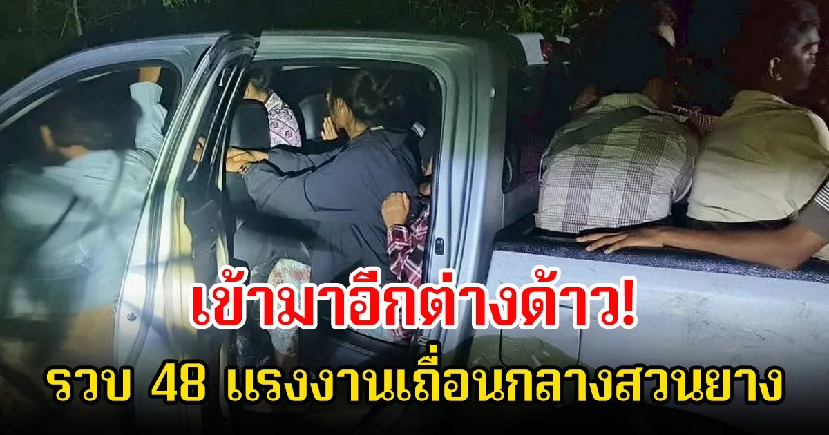 มาอีกต่างด้าว! เจ้าหน้าที่รวบ 48 แรงงานเถื่อนกลางสวนยาง คนขับอาศัยความมืดหลบหนี