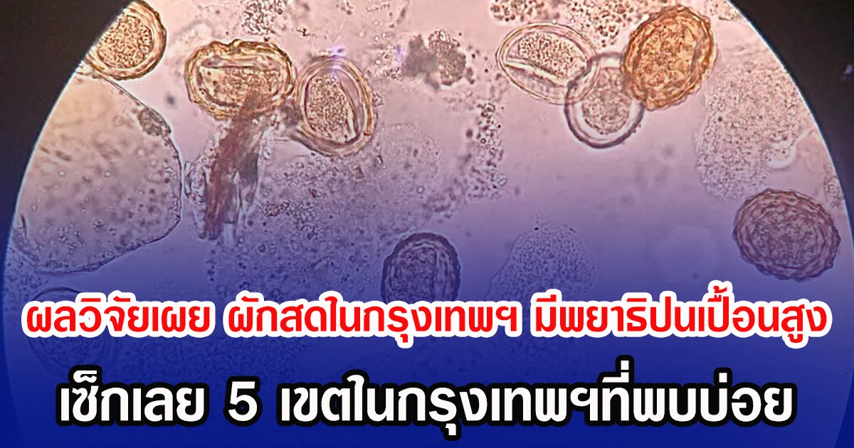 ผลวิจัยเผย ผักสดในกรุงเทพฯ มีพยาธิปนเปื้อนสูง  เซ็กเลย 5 เขตในกรุงเทพฯที่พบบ่อย