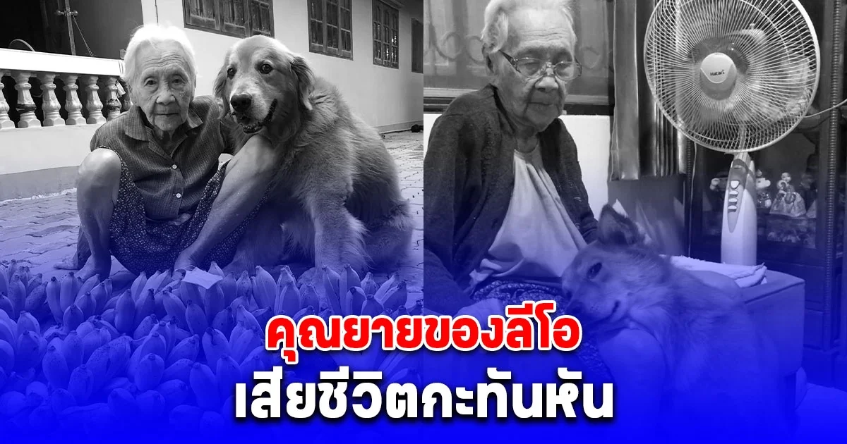 อาลัย คุณยาย เพจลีโอไอ้หนูของยาย เสียชีวิตกะทันหัน