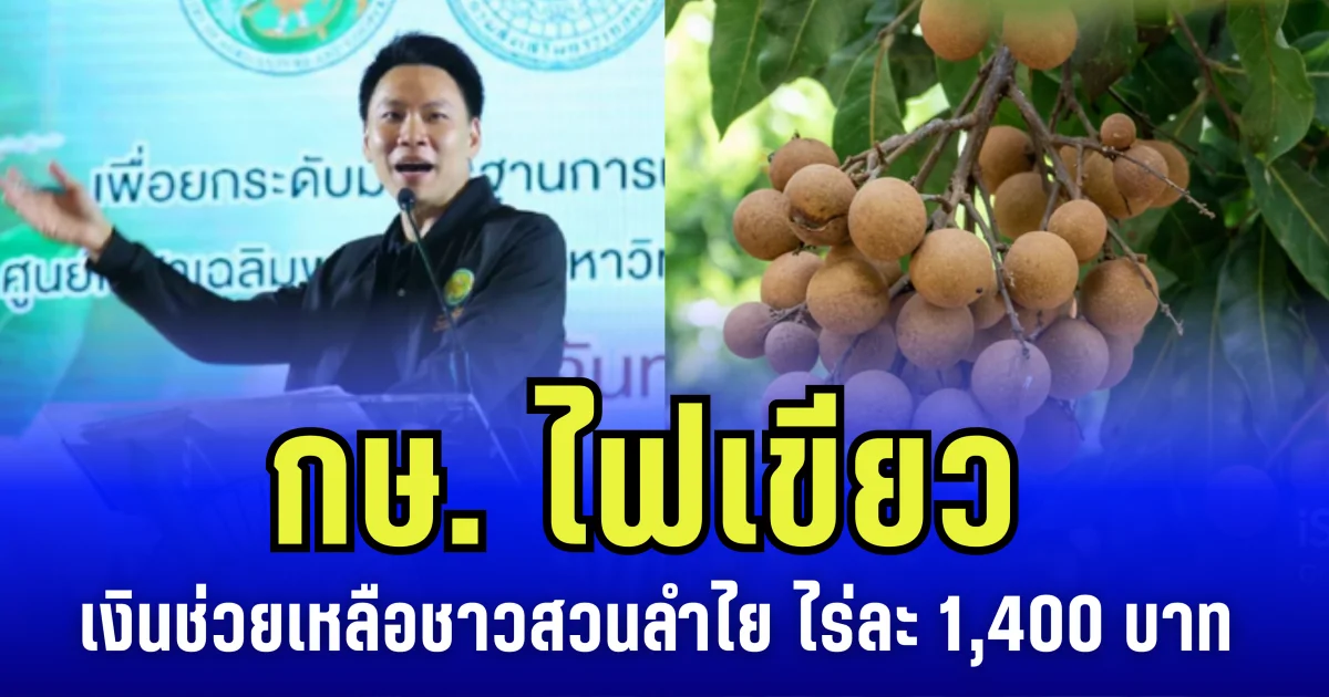กระทรวงเกษตรฯ ไฟเขียว เงินช่วยเหลือชาวสวนลำไย ไร่ละ 1,400 บาท ไม่เกิน 10 ไร่