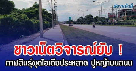 ชาวเน็ตวิจารณ์ยับ! กาฬสินธุ์ผุดไอเดียประหลาด ปูหญ้าบนถนน แม้แต่ผู้ว่ายังงง