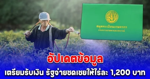 ปรับปรุงทะเบียนเกษตรกร ตรวจสอบสถานะ รับไร่ละ 1,200 บาท สำหรับครัวเรือนที่มีที่นาไม่เกิน 10 ไร่