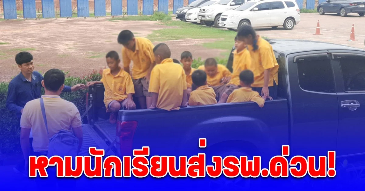 หามส่งรพ.ด่วน! นักเรียนนับ 10 ราย ถูกผึ้งต่อย