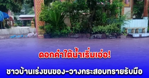ดอกคำใต้น้ำเริ่มเอ่อ! น้ำร่องช้างบ้านปินล้นท่วม ชาวบ้านเร่งขนของ-วางกระสอบทรายรับมือ