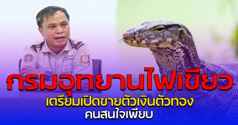 กรมอุทยานไฟเขียว เตรียมเปิดขายตัวเงินตัวทอง คนสนใจเพียบ