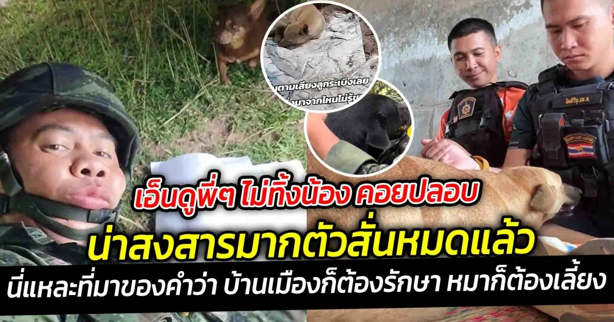 เอ็นดูพี่ๆ ไม่ทิ้งน้อง คอยปลอบ น่าสงสารมากตัวสั่นหมดแล้ว