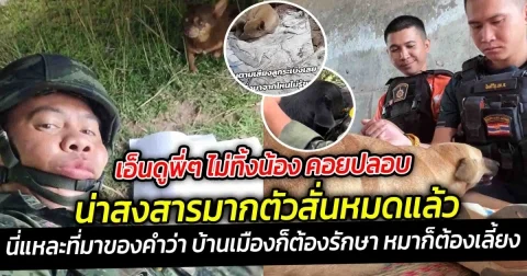 เอ็นดูพี่ๆ ไม่ทิ้งน้อง คอยปลอบ น่าสงสารมากตัวสั่นหมดแล้ว