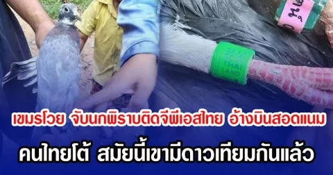 เขมรโวย จับนกพิราบติดจีพีเอสไทย อ้างบินสอดแนม คนไทยโต้ สมัยนี้เขามี ดาวเทียม กันแล้ว