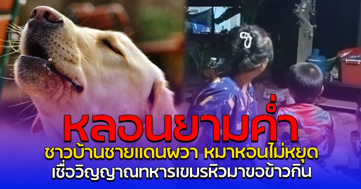 หลอนยามค่ำ ชาวบ้านชายแดนผวา หมาหอนไม่หยุด เชื่อวิญญาณทหารเขมรหิวมาขอข้าวกิน