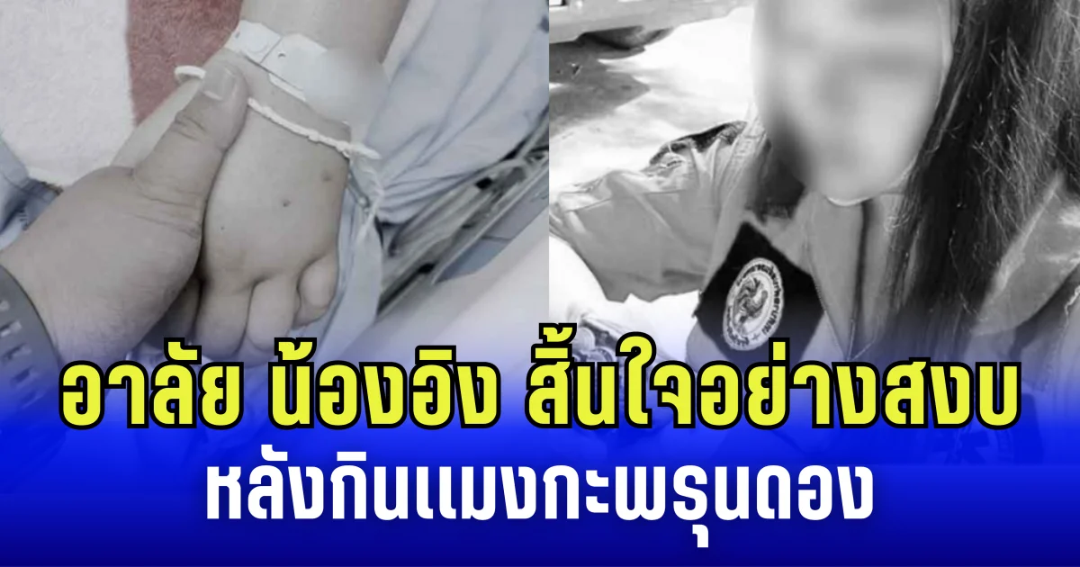 ข่าวเศร้าวงการกู้ภัย อาลัย น้องอิง สิ้นใจอย่างสงบ หลังกินแมงกะพรุนดอง