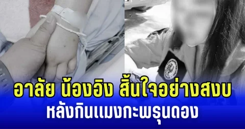 ข่าวเศร้าวงการกู้ภัย อาลัย น้องอิง สิ้นใจอย่างสงบ หลังกินแมงกะพรุนดอง