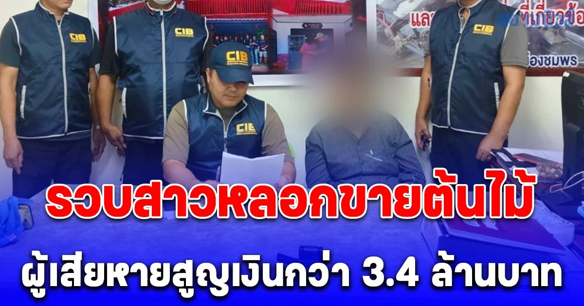 รวบสาวหลอกขายต้นไม้ ผู้เสียหายสูญเงินกว่า 3.4 ล้านบาท ตรวจประวัติพบหมายจับเพียบ