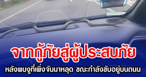 จากกู้ภัยสู่ผู้ประสบภัย หลังพบงูที่เพิ่งจับมาหลุดอยู่ในรถ ขณะกำลังขับอยู่บนถนน