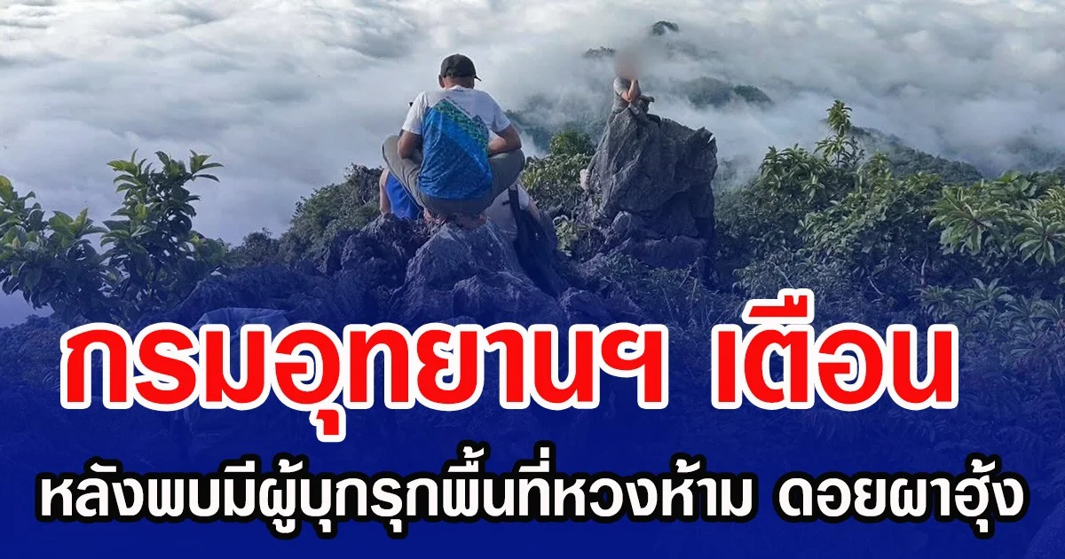 กรมอุทยานฯ เตือน  หลังพบมีผู้บุกรุกพื้นที่หวงห้าม ดอยผาฮุ้ง