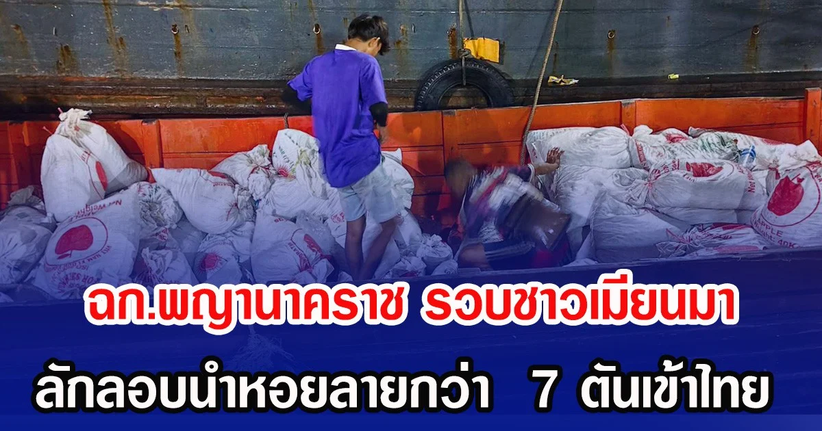 ฉก.พญานาคราช รวบชาวเมียนมา ลักลอบนำหอยลายผิดกฎหมายกว่า  7 ตันเข้าไทย