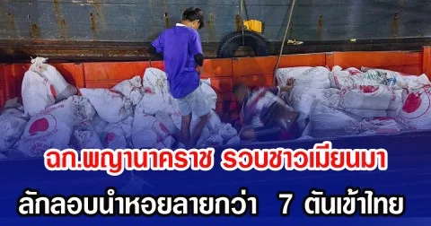 ฉก.พญานาคราช รวบชาวเมียนมา ลักลอบนำหอยลายผิดกฎหมายกว่า  7 ตันเข้าไทย